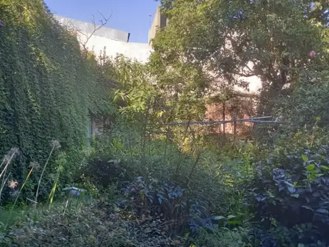 VENTA DE CASANO ANTIGUA EN EL CENTRO DE LA CIUDAD DE CARMEN DE ARECO