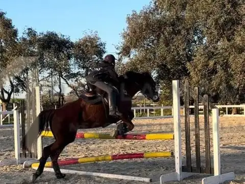 Terreno en Venta en Haras Del Sol, USD 55.000