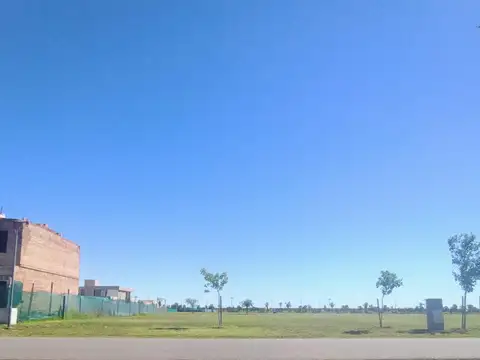 Arturo Illia y Guayacán