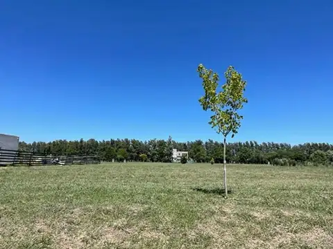 VENTA LOTE EN BARRIO EL CAMPO -FINCAS EXCLUSIVAS