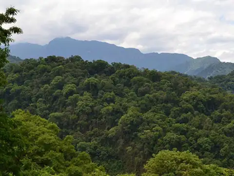 Potencial, reserva de carbono