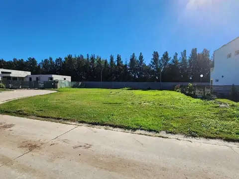 Sargento Cabral 5600