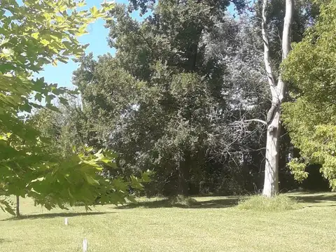 Terreno en Venta de 5000,0 m2