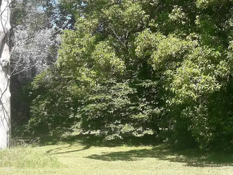 Lote en venta en Tortugas CC