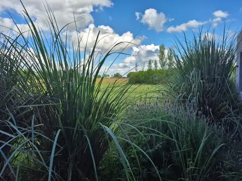 Casa 6 ambientes con 4 baños