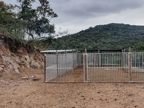 Calle Ercilia López