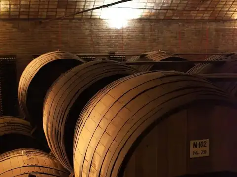 Terreno en Venta en Rama Caida, USD 11.800