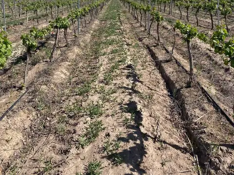 Ruta Nacional 40, Km 42