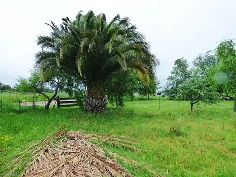 Campo/Fracción/Chacra en Venta en San Vicente