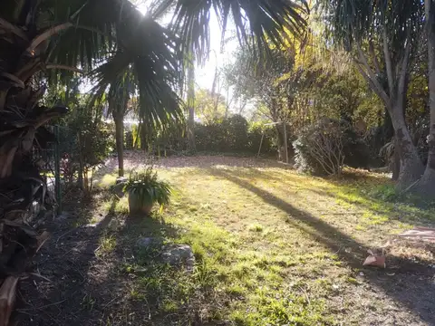 Carlos Pellegrini 100