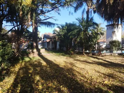 Carlos Pellegrini 100