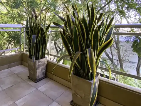 Oficina en Alquiler al Norte