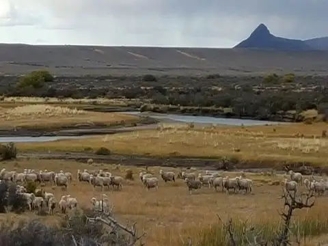 Estancia con excelentes recursos para optimizar su producción..!