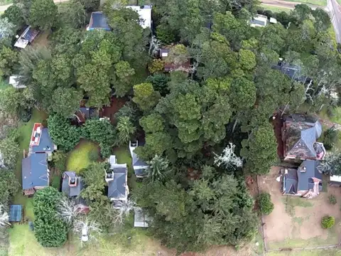 Los Alelies entre calle 6 y 7