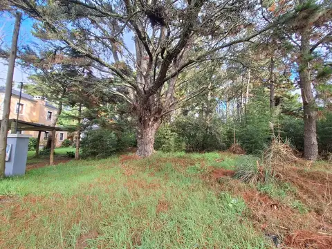 Terreno en Venta de 664,0 m2