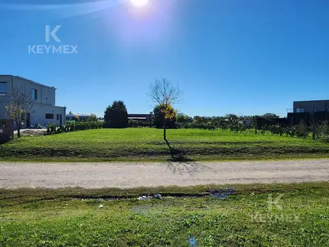 Terreno en Venta 45  mts Fondo