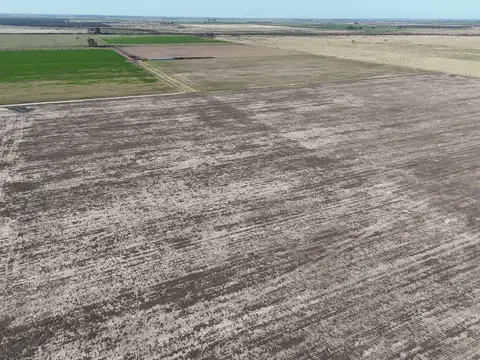 Campo en Venta de 125  ha