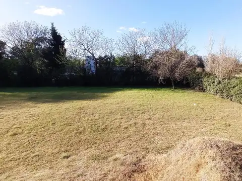 Correa 382, Roldán. A metros de Ruta 9