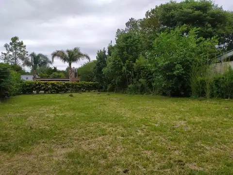 Lote en venta- San Francisco al 300, Roldán- 480 M2.