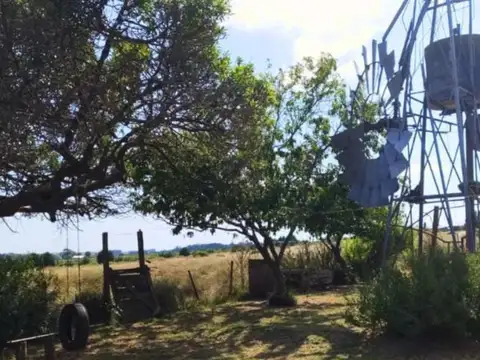 Campo en venta - 63.135Mts2 - General Pueyrredón