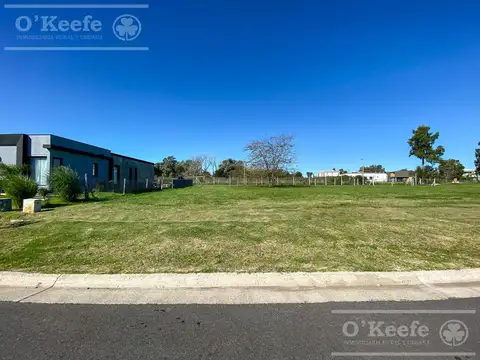 San Juan Chico al 100