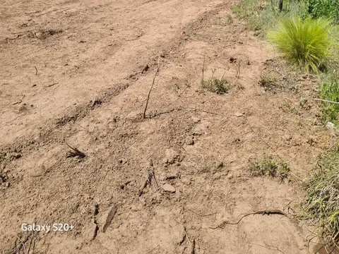 Terreno en Venta de 1338,0 m2