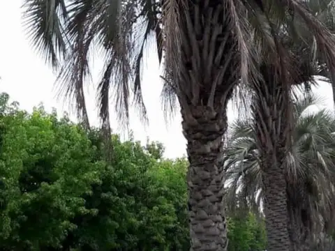 Terreno en Venta 45  mts Frente