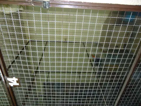 Departamento en alquiler en Almagro