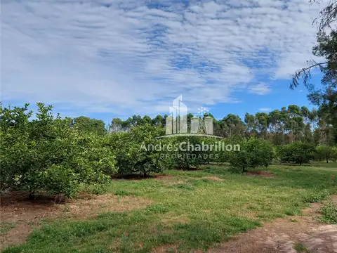 Ruta Nacional 14. 20 100