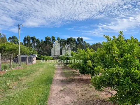 Campo En Venta De 20 Has. En Ruta Nacional 14
