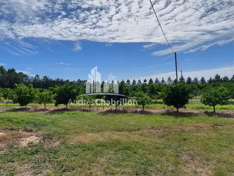 Campo En Venta De 20 Has. En Ruta Nacional 14