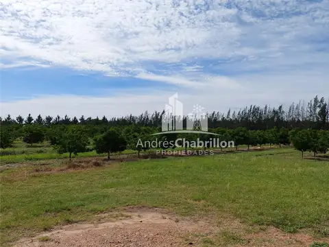 Campo En Venta De 20 Has. En Ruta Nacional 14