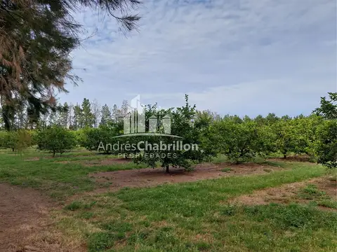 Campo En Venta De 20 Has. En Ruta Nacional 14