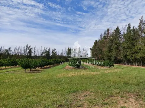 Ruta Nacional 14. 20 100