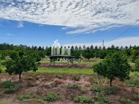 Ruta Nacional 14. 20 100