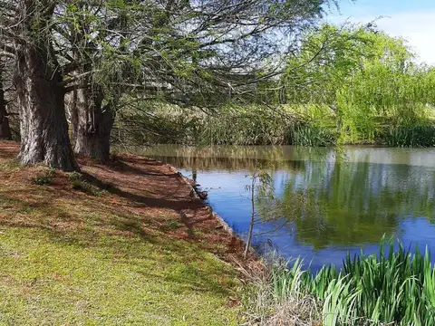 Terreno en Venta de 2250,0 m2