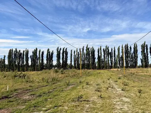 Terreno en Venta en General Roca, USD 4.600