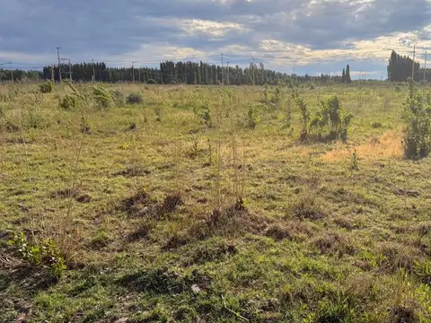 Terreno en Venta de 250,0 m2