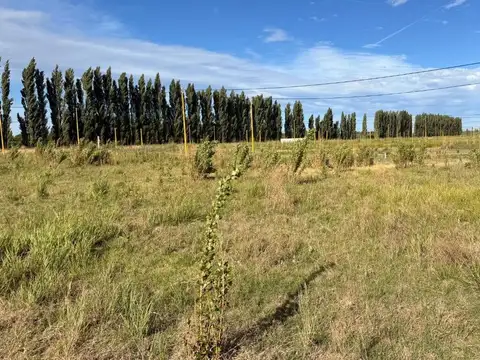 Re/Max vende Terreno en Loteo La Rufina. Cervantes