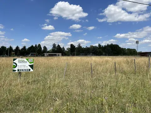 Si buscas paz, tranquilidad, seguridad y naturaleza este es sin lugar a dudas tu lugar  terreno en