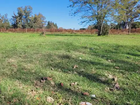 Venta Lote en Oliveros Sup 341m2 - Lote A.