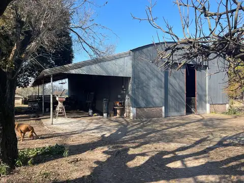 CAMPO 37 HA PANAMERICANA ZARATE 500 MTS FRENTE