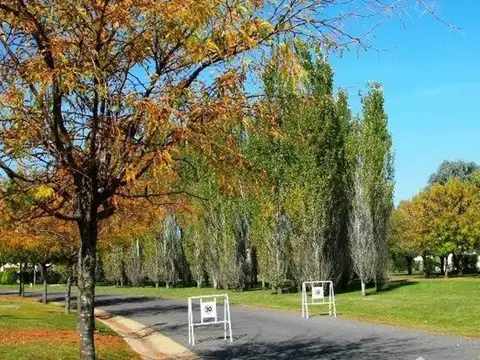 Terreno en Venta en Pilar del Este - San Eduardo, USD 43.700