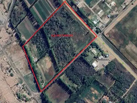 Chacra en venta - 3 Galpones - 40.000Mts2 - Neuquén