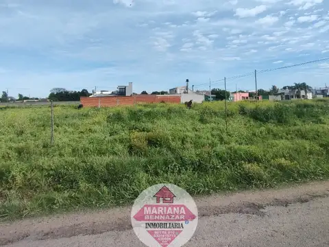 Doctor Ricardo Rojas 1200