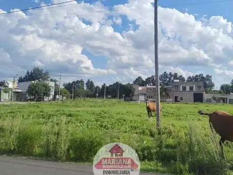 Terreno en Venta 12  mts Fondo