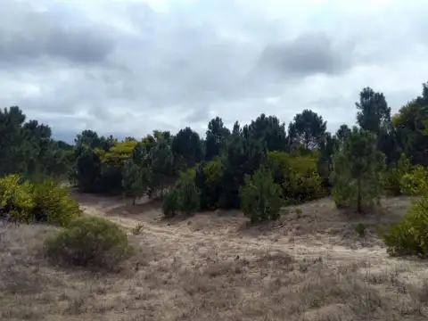 Terreno en venta - 1175 mts2 - Ecuestre, Costa Esmeralda