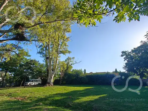 Santa Guadalupe al 100