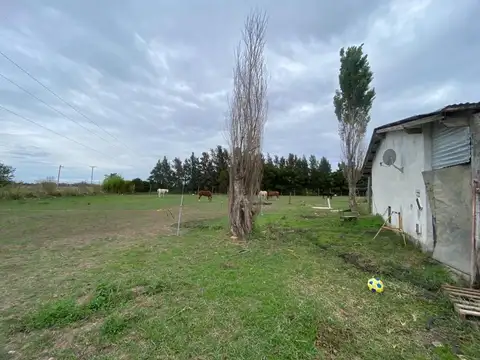 CAMPO EN VENTA ESCALADA