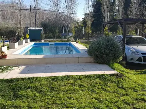 Domselaar Chico Club De Campo Venta